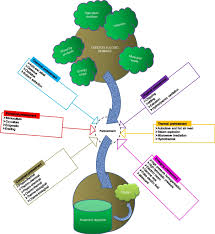 The pretreatment methods can be classified into different categories according to various criteria 2, 12. A Comprehensive Review On The Pretreatment Of Lignocellulosic Wastes For Improved Biogas Production By Anaerobic Digestion Springerlink