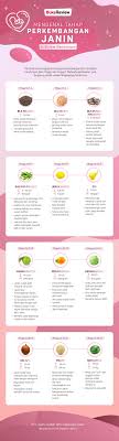 Nah itulah daftar 10 peringkat susu penambah berat badan bayi dalam kandungan yang paling bagus. Mengenal Tahap Perkembangan Janin Dari Awal Kehamilan Hingga Menjelang Kelahiran Bukareview