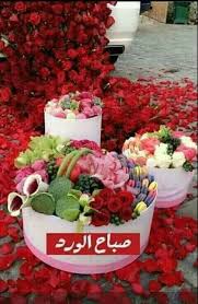 ﷲ ٠٩٧٦٥٤٣٢١ﷴﷲﷴﷲ٨ ﷺ السلام عليكم ورحمة الله وبركاته ﷴ ﷺﷻ ﻄﻈ ℛℝ beautiful morning messages good morning roses good morning greetings