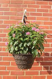Pin On New Gardening Know How Articles