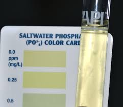 Hanna Phosphate Meter Review Aquarium Advice Aquarium