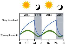 Image result for Sleep Stimulus Control