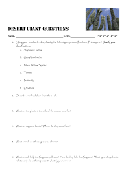 The plant will spawn saguaro fruits on its sides after rainfall. Desert Giant Questions