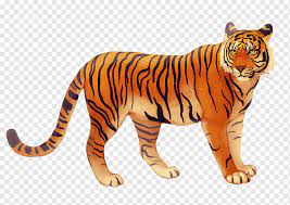 Kumpulan gambar tentang harimau kartun lucu, klik untuk melihat koleksi gambar lain di 23 gambar kartun harimau lucu harimau karakter kartun menggambar foto gratis di pixabay. Bali Tiger Javan Tiger Tiger Mammal Child Animals Png Pngwing