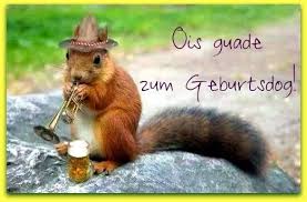 Auch erwachsene und alte menschen lieben ihre tiere, die echte familienmitglieder werden. Pin Von Anita Sipos Auf Geburtstagsspruche Lustige Eichhornchen Bilder Ausgestopftes Tier Lustige Bilder