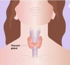 Hypothyroidism Icd 10 Codes Guidelines With Examples
