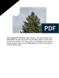 We did not find results for: The Legend Of The Pine Tree Crosses Plants Foods