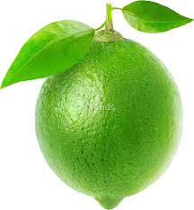Lime With Leaves Sticker By 6hands Lime Fruit Tattoo Beautiful Fruits