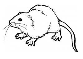 Celebrate the holidays and seasons with crafts, printables, postcards, coloring pages, games and more! Free Printable Rat Coloring Pages For Kids Animal Coloring Pages Super Coloring Pages Animals Coloring Pages