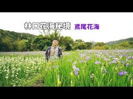 yu youren 1879 1964 calligraphy written in cursive script ink on paper hanging scroll 129 63 5cm 于右任 1879 1964 草書紙本立軸識文 陰磧茫茫塞草眺 桔檡原上暮煙飛 關 河北望天連海 蘇武曾