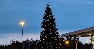 Best artificial christmas trees to buy for 2019: Tesco Puts Up Huge Christmas Tree In August And Customers Are Baffled Mirror Online