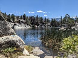 California Mountains Family Escape