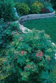For the last few years, we have kept mesh tarps from harbor freight in our garage. Planting A Mixed Sun And Shade Garden Finegardening