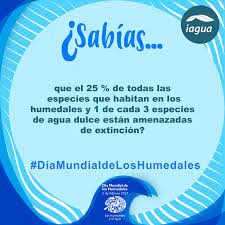 21 de marzo de 2021 fuente: Dia Mundial De Los Humedales 2021 Los Humedales Y El Agua Iagua