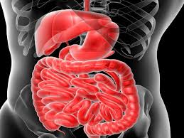 This is the type that could potentially develop into cancer. outside of polyps and cancers, other potential findings from a colonoscopy may include diverticulosis (pockets in the colon that could become infected or bleed), hemorrhoids (distended blood vessels in the rectum), and colitis (inflammation in the colon). Crc Detected After Colonoscopy Often Located In Proximal Colon