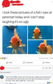 Magikarp Used Splash Its Super Effective Sweet Memes Witty Memes Funny Games