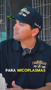 Alfonso Negrete y Fredy Alabama hablando un poco sobre “Micoplasma”  @ranchosantafenay @vetinova_oficial 🔝