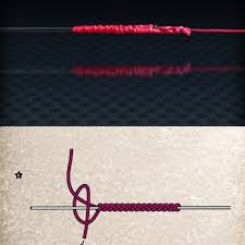 Best 5 fishing knots for connecting fishing lines. Albright Knoten Dr Catch Besser Angeln