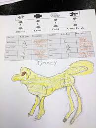 Before the amoeba sisters finish filling in these punnett squares which cross will produce a possible offspring that is type o? 3rd Nine Weeks Genetics Heredity Mrs Lackey S Science Class