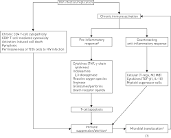 What are the definitions of hiv and aids terms? Impact Of Hiv Infection And Smoking On Lung Immunity And Related Disorders European Respiratory Society