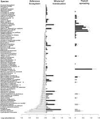 Image result for Droogmansia