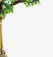 Flowering shrubs or dwarf trees or. Trees Border Trees Frame Trees Clipart Png Transparent Clipart Image And Psd File For Free Download Palm Tree Art Black Background Images Tree