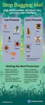 A Guide To Identifying Bug Bites And How To Prevent Them