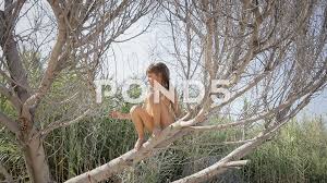 Marcar temas como leídos • 741 temas. Little Girl Tree Climb Ls Hh Stock Video Pond5