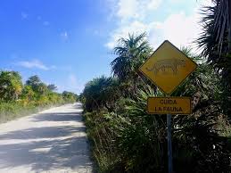 Maybe you would like to learn more about one of these? Cycling Through Sian Ka An Biosphere Reserve Lifetimetrails