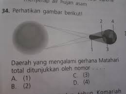 Sebab itu, gerhana bulan total tanggal 26 mei 2021 ini dikenal juga dengan super blood moon (bulan merah super) karena terjadi saat bulan di jarak terdekat dengan bumi (perigee). Daerah Yang Mengalami Gerhana Matahari Total Ditunjukkan Oleh Nomor Brainly Co Id