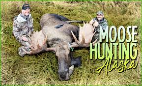 Check spelling or type a new query. Moose Hunting Alaska Info Locations Hunt Alaska Magazine