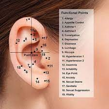 Earings Piercings Ear Piercings Ear