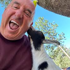 Happy Hanukkah from Antarctica, where the Menorah is electric as no candles  are allowed aboard ship. Manischewitz is allowed however. Leave no latkes  behind.