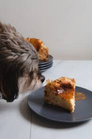 Turn the oven off and leave the cheesecake in with the door closed for a half hour. Mini Blood Orange Basque Cheesecake With Phyllo Crust