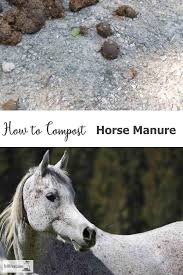 Where it all began… our history began in 1965, when mr hoggins senior bought the coal business from mr arthur frost, who was the local milkman and coal merchant. How To Compost Horse Manure