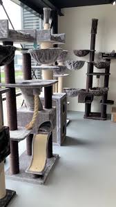Online shopping with cat tree uk ltd are handled securely via stripe. Cat Tree King Win A New Rhrquality Cat Tree Facebook