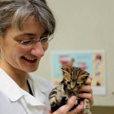 TOP 10 BEST Low Cost Pet Vaccinations near Chatsworth, Los Angeles, CA