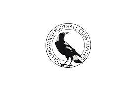 In 2020, the club commissioned an independent review into claims of racism at the club. Collingwood Logo And Symbol Meaning History Png