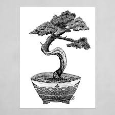 Include some context in the title (such as the species and age of the bonsai). Harmony And Balance Bonsai Tree Art Poster By Gerasimos Kalogeratos
