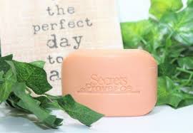 Savon A L Argile Rouge Bio De Secrets De Provence Mon Avis Secret De Provence Argile Rouge Savon