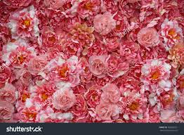 Free website themes & skins created by the stylish community on userstyles.org. Pink Flowers Aesthetic Background Stock Photo Edit Now 783295321