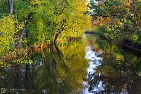Fall Colors Reflected Along The Red Cedar River Photographic Print By Daniel Brown Fall Colors Red Cedar Yellow Tree