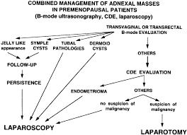 A Proposed Flow Chart Using Colour Doppler Energy Imaging