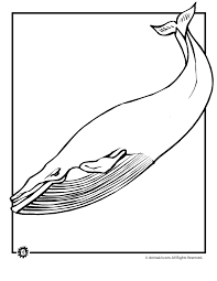 Plus, it's an easy way to celebrate each season or special holidays. Blue Whale Coloring Page Woo Jr Kids Activities Children S Publishing