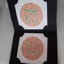 Для просмотра онлайн кликните на видео ⤵. Buku Tes Buta Warna Isihara Ishihara Colour Blindess 38