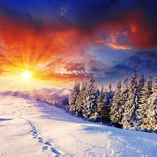 We determined that these pictures can also depict a wonderland (movie). Winter Wonderland Live Wallpaper Amazon De Apps Fur Android