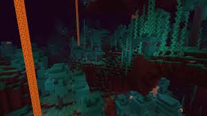 The update was announced at minecon live 2019 and was released on june 23, 2020, only for the java and bedrock editions of minecraft. Warped Forest Minecraft Wiki