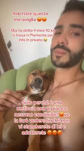 Santa Maria a Monte -Pisa Sandra Grassi ancora sta cercando il suo bassotto  Max dal 19/03/25..