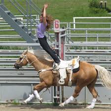 Pin By Abigail Jayne Wenrich On Heartland Trick Riding Horse Vaulting Heartland