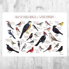 Birds Of New York Field Guide Pin On Products